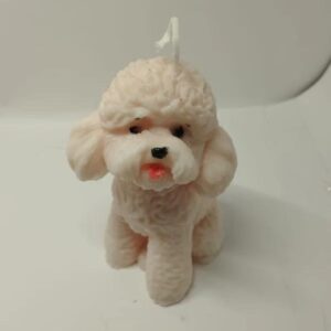 Caniche (Aromas: mediterraneo)