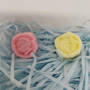 Wax melts (Aroma: mas aromas preguntar)