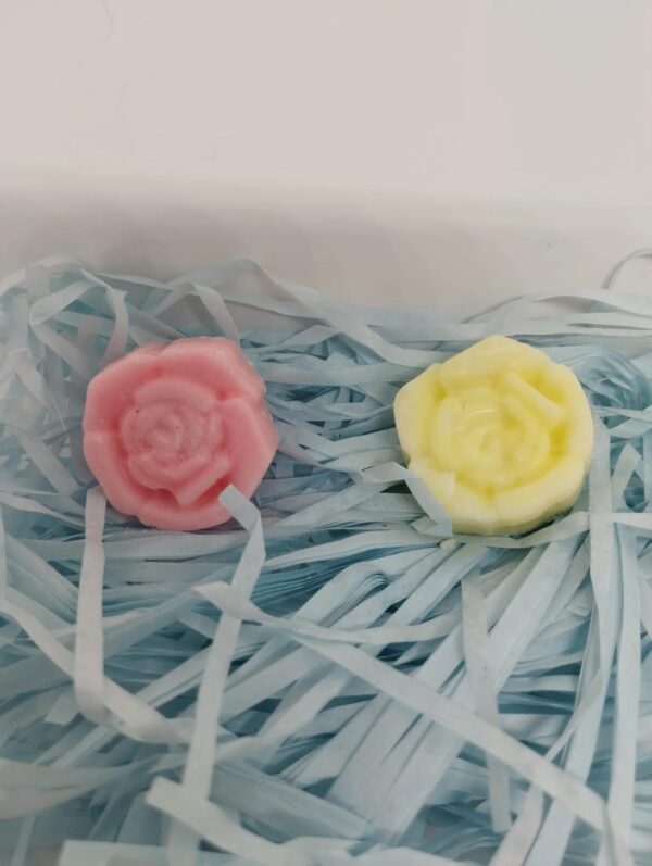 Wax melts (Aroma: mas aromas preguntar)