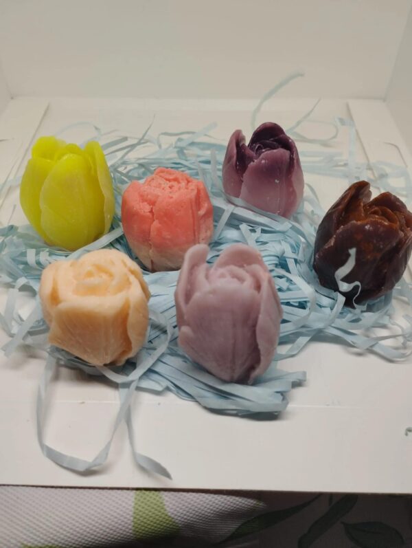 Wax melts (Colores: blanca)