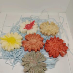 Wax melts (Aromas: para mas preguntar)