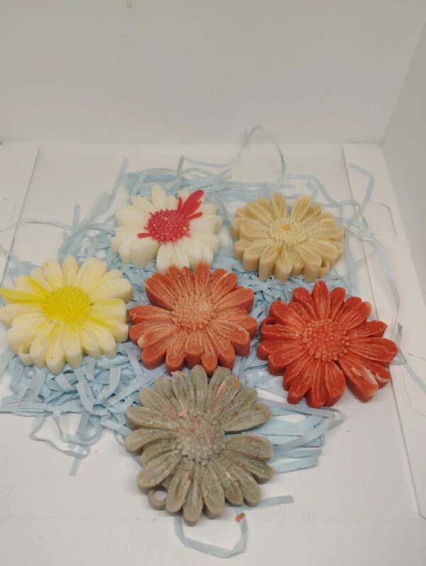 Wax melts (Aromas: para mas preguntar)