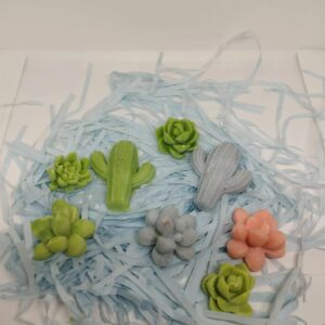 Wax melts (Aromas: mas aromas preguntar)