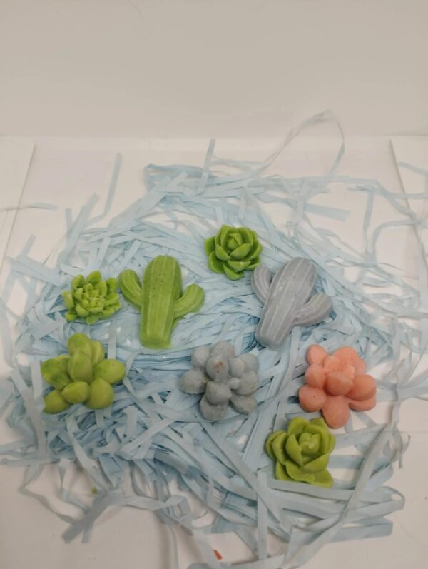 Wax melts (Aromas: mas aromas preguntar)
