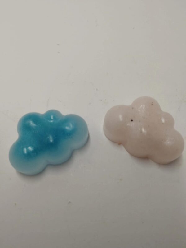 Wax melts (Aromas: para mas preguntar)