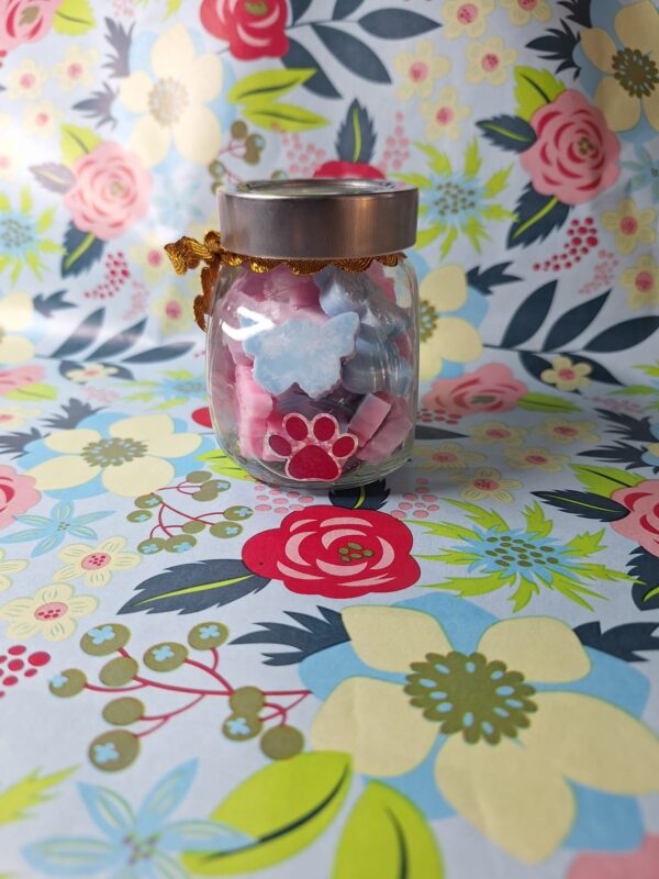 Wax melts bote