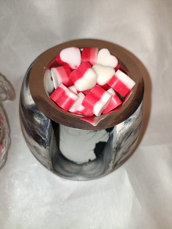 wax melts , quemador, y joyero